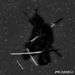 Meet your Posher, Ian